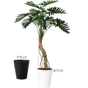 インテリアグリーン セローム おしゃれ 人気 ...の詳細画像1