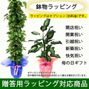 コニファー フェイクグリーン 人気 おしゃれ ...の詳細画像4