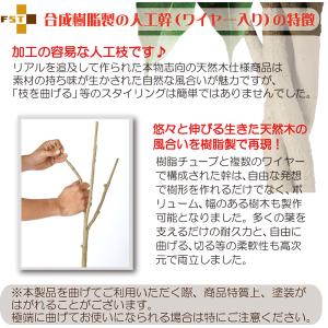 ドラセナ 観葉植物 おしゃれ 大型 インテリア...の詳細画像3
