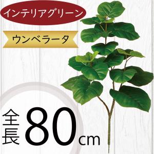 光触媒　人工観葉植物　ウォールグリーン　フェイクグリーン　マダガスカルアーモンド フェイクグリーン 大型 特大 おしゃれ 人気 インテリアグリーン リアル