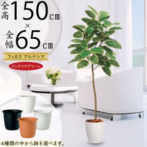 コニファー フェイクグリーン 人気 おしゃれ 観葉植物 インテリア