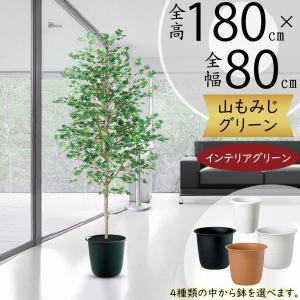 エバーフレッシュ 160cm (ネムノキ フェイクグリーン リアル 本物 大型