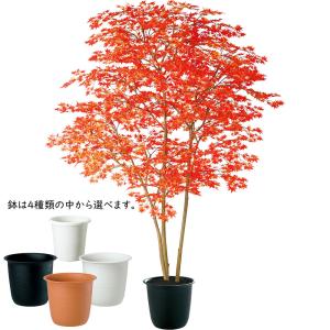 もみじ モミジ 大型 紅葉 おしゃれ インテリ...の詳細画像1