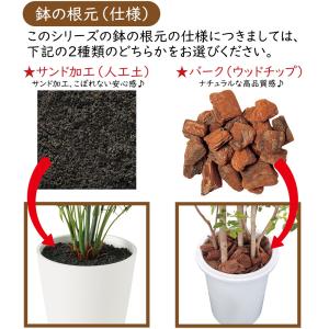 もみじ モミジ 大型 紅葉 おしゃれ インテリ...の詳細画像5