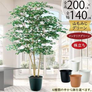 もみじ モミジ 大型 紅葉 おしゃれ インテリアグリーン フェイク