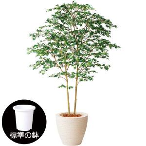 もみじ モミジ 大型 紅葉 おしゃれ インテリアグリーン フェイク