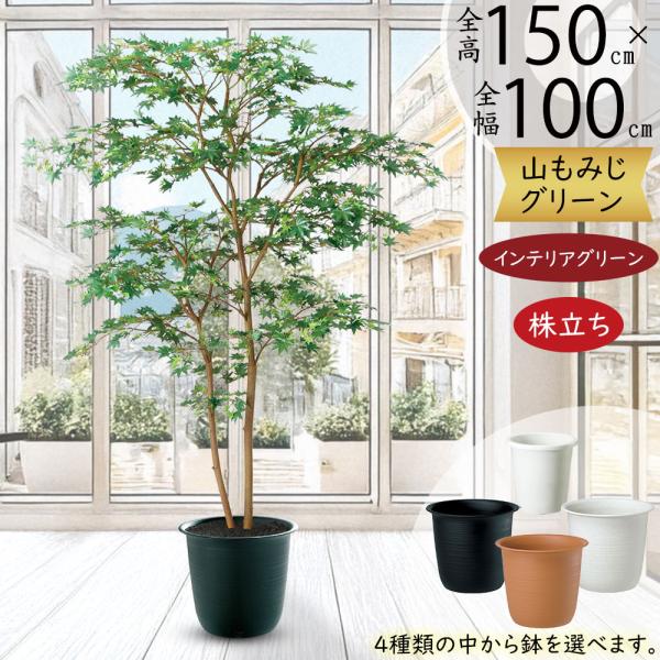 もみじ モミジ 大型 青紅葉 おしゃれ インテリアグリーン フェイクグリーン リアル 人工観葉植物 ...