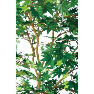 もみじ モミジ 大型 青紅葉 おしゃれ インテ...の詳細画像2
