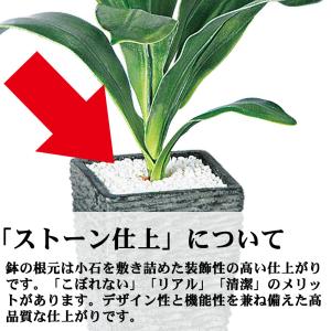 インテリアグリーン おしゃれ 観葉植物 フェイ...の詳細画像4