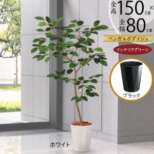 観葉植物 おしゃれ 大型 インテリアグリーン フェイク インディアン