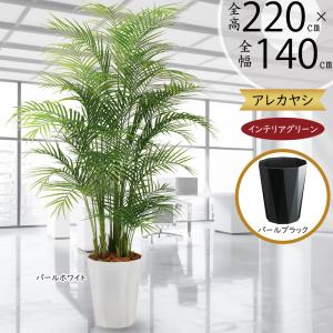 盆栽 大型 人気 おしゃれ 松の盆栽 人工観葉 フェイクグリーン