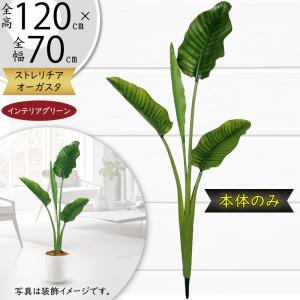 ストレリチア ストレチア 観葉植物 おしゃれ インテリアグリーン フェイクグリーン 造花 人工観葉 人工樹木 オーガスタ オブジェ おすすめ 鉢なし 人気 120cm｜keishin