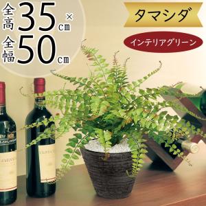 人工観葉植物 造花 110cmソードリーフミックスポット 男前インテリア