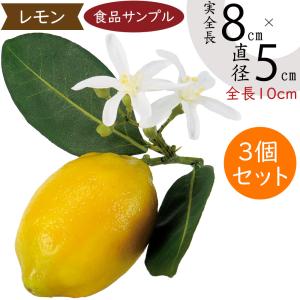 フェイクフルーツ ラフランス・ブドウ・レモン・ライム 楽天市場】食品サンプル ライム リアル 人気 スライス 輪切り カット