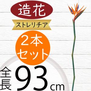 極楽鳥花の商品一覧 通販 Yahoo ショッピング