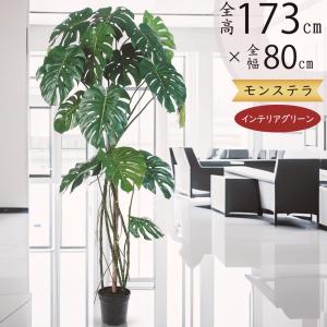 光の楽園 壁掛けウッドボックス 2226A100 アートグリーン フェイク