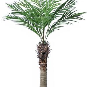 人工観葉植物 全高1 55m アレカパーム アレカヤシ ヤシ類 ロベヤシ ロベレニー 人工樹木 造花 インテリアグリーン 南国トロピカル Www Mohmmadiyon Com