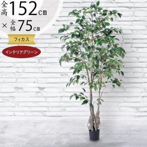 フェイクグリーン 観葉植物 リアル 人工観葉植物 高さ130cm ガジュマル