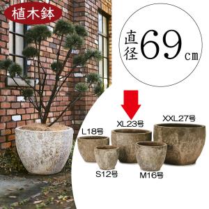 植木鉢 テラコッタ 大型 おしゃれ プランター 人気 おすすめ 観葉植物