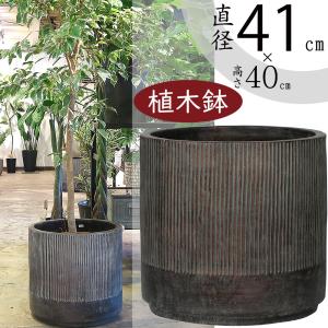 植木鉢 陶器 大型 和風 おしゃれ 盆栽 山野草 仕立鉢 ラン 蘭 生子縄渕