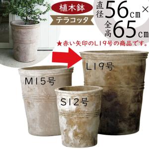 植木鉢 テラコッタ 大型 おしゃれ プランター 人気 おすすめ 観葉植物