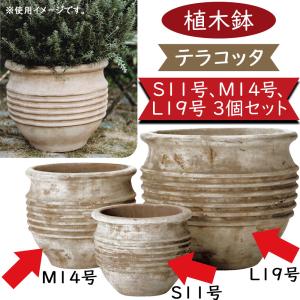 植木鉢 テラコッタ 大型 おしゃれ プランター 人気 おすすめ 観葉植物