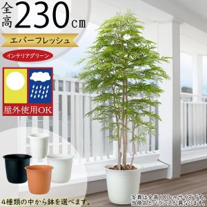 神戸花物語 フェイクグリーン 観葉植物 人工観葉 大型 光触媒 神戸花物語 フェイクグリーン 観葉植物 人工観葉 大型 光触媒