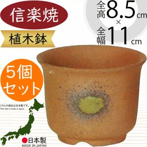 植木鉢 おしゃれ 人気 おすすめ プランター 信楽焼 国産品 日本製 観葉