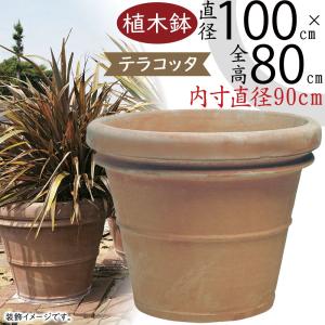 植木鉢 テラコッタ おしゃれ 大型 特大 プランター 観葉植物 園芸 ガーデニング ポット おすすめ 素焼き 器 超特大 大きい 大きめ ベノッチ リムポット 33号