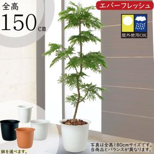フェイクグリーン 大型 屋外用 人気 リアル おすすめ おしゃれ
