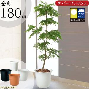 フェイクグリーン 屋外用 人気 リアル おすすめ おしゃれ