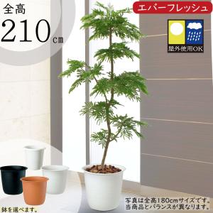 フェイクグリーン 大型 特大 おしゃれ 人気 インテリアグリーン リアル