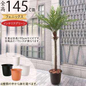フェニックス 観葉植物 人気 おしゃれ インテリアグリーン フェイク