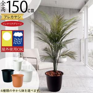 フェイクグリーン 屋外用 おしゃれ アレカヤシ ...の商品画像