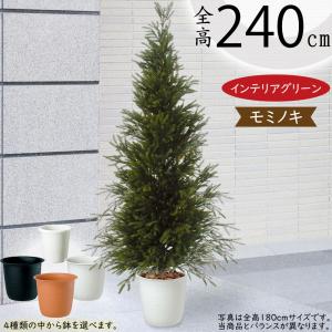 観葉植物 おしゃれ 大型 もみの木 インテリアグリーン 特大 モミの木 フェイクグリーン おすすめ クリスマスツリー 人工樹木 2.4m｜keishin