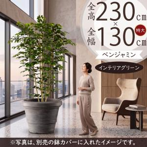ベンジャミン 大型 おしゃれ インテリアグリーン フェイクグリーン リアル 観葉植物 人工樹木 パーテーション 間仕切り 目隠し 特大 鉢付き ワイドロング 230cm