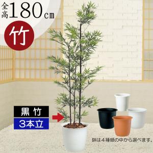 黒竹 人気 観葉植物 おしゃれ 人工観葉植物 インテリアグリーン