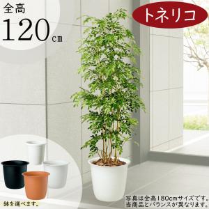 植木鉢 大型 おしゃれ 人気 プランター ホワイト 白 観葉植物 園芸用品
