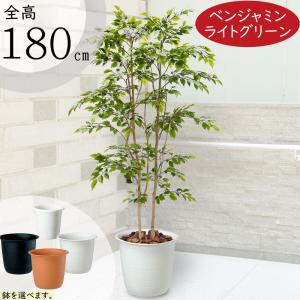 観葉植物 おしゃれ 大型 インテリアグリーン フェイクグリーン リアル
