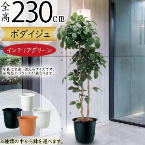 フェイクグリーン 大型 おしゃれ 人気 観葉植物...の商品画像