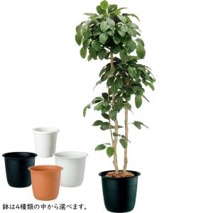 フェイクグリーン 大型 おしゃれ 人気 観葉植...の詳細画像1