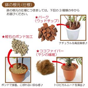 フェイクグリーン 大型 おしゃれ 人気 観葉植...の詳細画像5