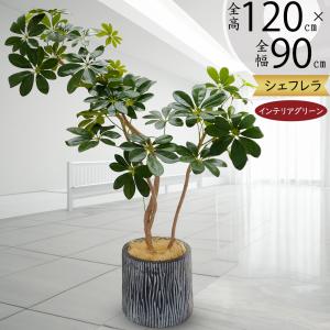 観葉植物 おしゃれ インテリアグリーン アイビー タワー ヘゴ 人気
