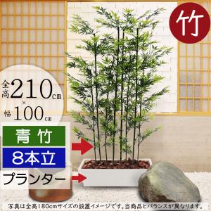 フェイクグリーン 大型 人気 青竹 竹 タケ お...の商品画像