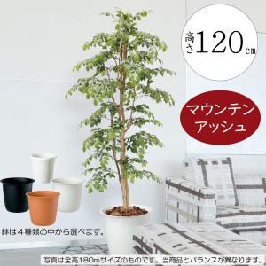 人工観葉 おしゃれ フェイクグリーン インテリアグリーン リアル 観葉植物 造花 おすすめ 人工樹木 造花 アートグリーン マウンテンアッシュ 鉢付き 室内 120cm｜keishin