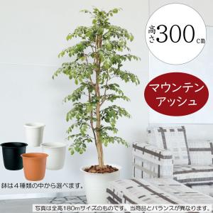 インテリアグリーン 大型 おしゃれ 人気 フェイクグリーン リアル 観葉植物 造花 人工樹木 造花 アートグリーン 人工観葉植物 マウンテンアッシュ ギフト 300cm