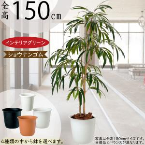 桜 さくら サクラ 大型 造花 おしゃれ 人気 インテリアグリーン