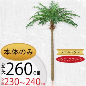 神戸花物語 メーカー直送｜人工観葉植物 大型 フェニックス