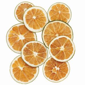 ドライ素材 オレンジ スライス (フェイクフルーツ