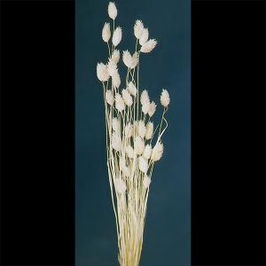 ポアプランツとは アレンジメントフラワー用品 資材 の商品一覧 花 ガーデニング 通販 Yahoo ショッピング